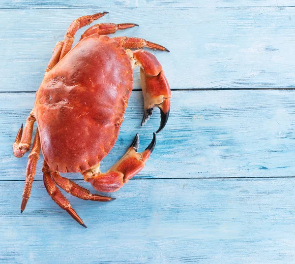 Kokta Bruna Krabba Eller Ätliga Krabban Isolerat Den Blå Träbord — Stockfoto