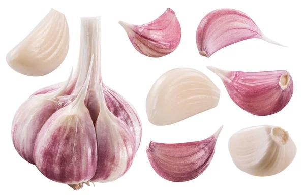 Garlic Bulb Garlic Cloves White Background File Contains Clipping Path — Stock Photo, Image