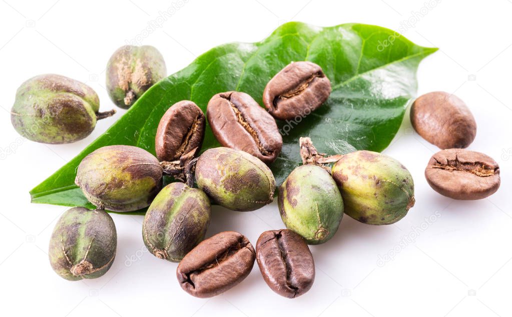 Green coffee beans, roasted beans and fresh coffee leaves on white background. Macro.