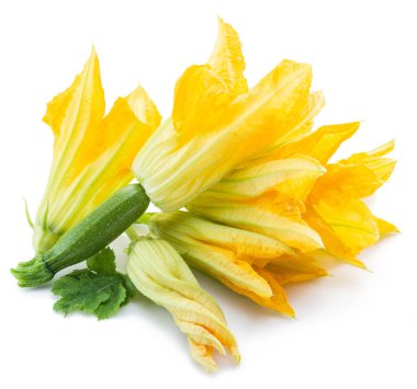 Kabak çiçekleri beyaz bir arka plan üzerinde.