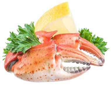 Limon ve beyaz bir arka plan üzerinde otlar pişmiş Yengeç pençeleri.