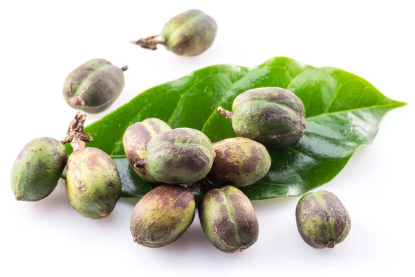 Green Coffee Beans Fresh Coffee Leaves White Background Macro — Stock Photo, Image