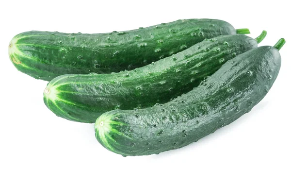 Cucumbers White Background — Stock Photo, Image