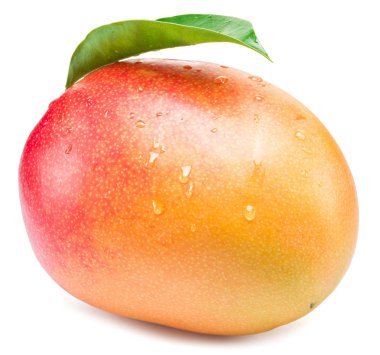 Mango meyve su damla ile. Beyaz bir arka plan üzerinde izole.