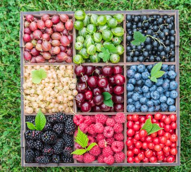 Yeşil çimlerin üzerinde tahta kutuda yaz meyveleri. Üst görünüm.