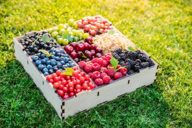 Yeşil çimlerin üzerinde tahta kutuda yaz meyveleri. Üst görünüm.