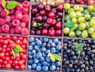 Ahşap kutusunda farklı renkli meyveler. Yakın çekim.