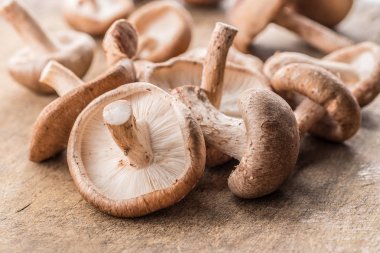 Shiitake mantar ahşap arka plan üzerinde.