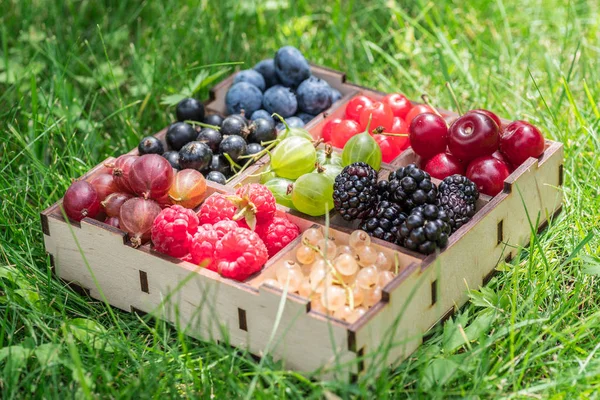 Summer Berries Wooden Box Green Grass Close — Stock Photo, Image