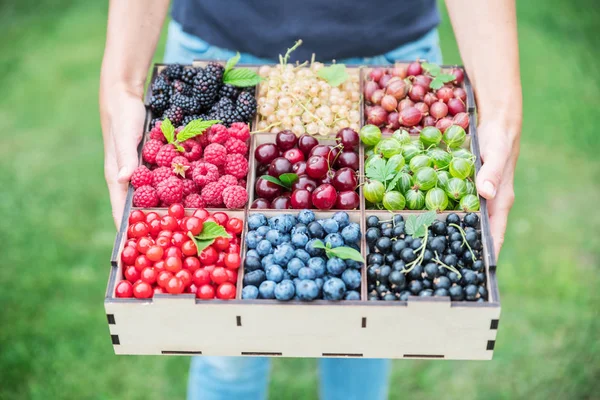 Ahşap kutu eller meyveleri ile. Üstten görünüm.