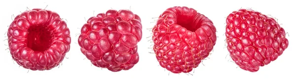 Set Von Vier Reifen Himbeeren Isoliert Auf Weißem Hintergrund Bio — Stockfoto