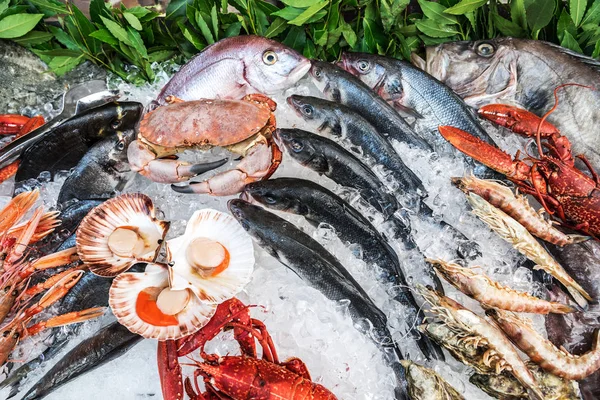 Abundância Produtos Mar Refrigerados Mercado Peixe — Fotografia de Stock