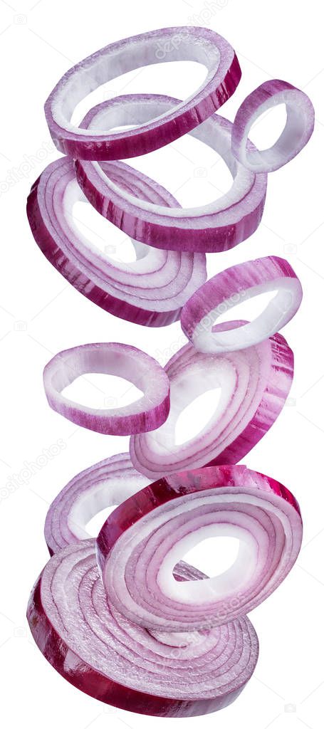 Red onion rings on white background. File contains clipping path.