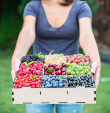 Ahşap kutu eller meyveleri ile. Üstten görünüm.
