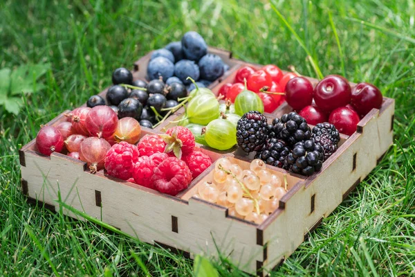 Bayas Verano Caja Madera Hierba Verde Primer Plano — Foto de Stock