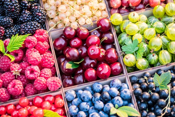 Frutas Coloridas Diferentes Caixa Madeira Close — Fotografia de Stock