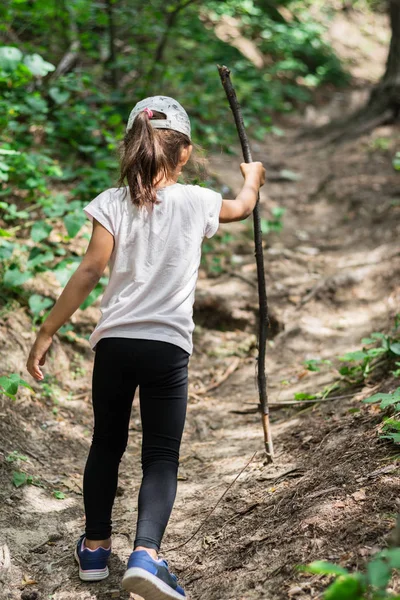 Giovane Viaggiatore Piccola Ragazza Con Bastone Legno Arrampicata Nella Foresta — Foto Stock