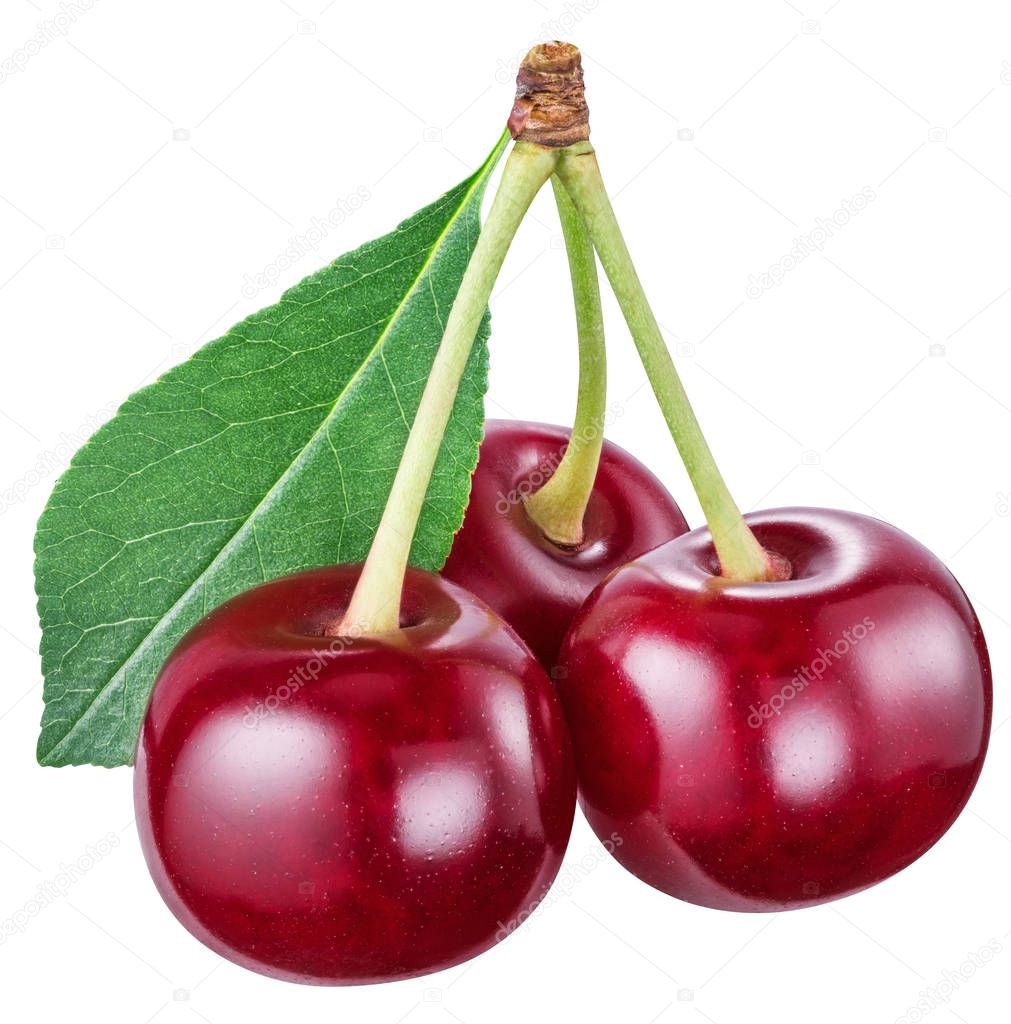 Three cherries with leaf on a white background. File contains clipping path.