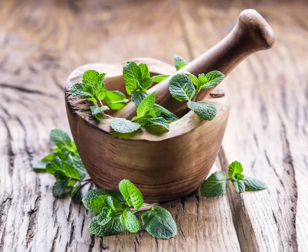 Frische Minze Holzmörtel Und Stößel Auf Dem Alten Tisch — Stockfoto