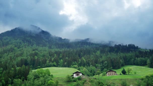 Kilátás Pines Hegység Felhők Lebegnek Hegy Közelében Time Lapse Videó — Stock videók