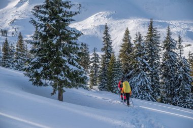 Hiking kış. Turistler karla kaplı dağlara hiking. Dağlarda güzel kış peyzaj.