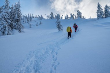 Hiking kış. Turistler karla kaplı dağlara hiking. Dağlarda güzel kış peyzaj.