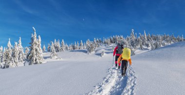 Hiking kış. Turistler karla kaplı dağlara hiking. Dağlarda güzel kış peyzaj.