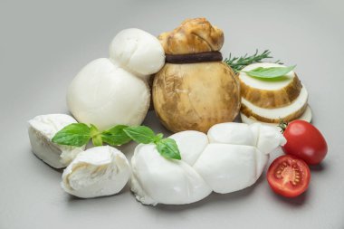 Mozzarella ve Scamorza, gri arka plan üzerinde taze otlar ile geleneksel İtalyan peynir.