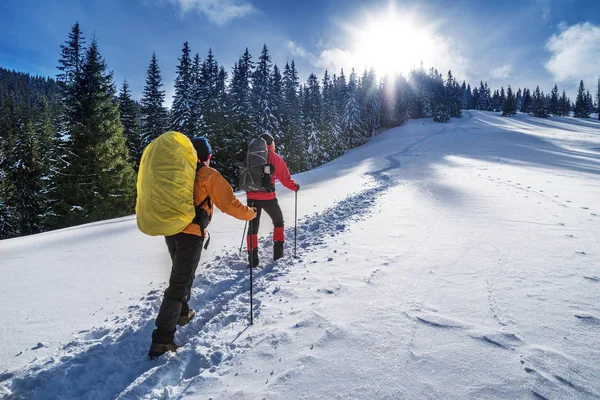 Escursioni Invernali Turisti Stanno Facendo Escursioni Sulle Montagne Innevate Bellissimo — Foto Stock