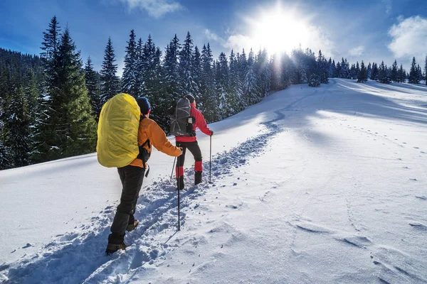 Winter hiking. Tourists are hiking in the snow-covered mountains. Beautiful winter landscape in the mountains.