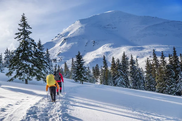 Winter hiking. Tourists are hiking in the snow-covered mountains. Beautiful winter landscape in the mountains.