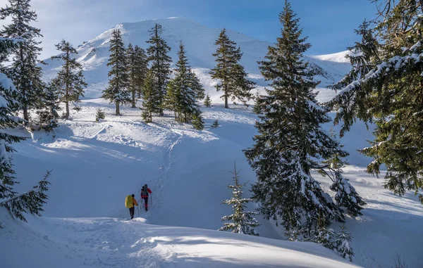 冬のハイキング 観光客は 雪に覆われた山々 でハイキングします 山の美しい冬の風景 — ストック写真