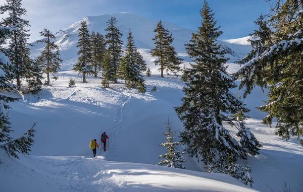 Vinter Vandring Turister Vandring Snötäckta Bergen Vackra Vinterlandskap Bergen — Stockfoto