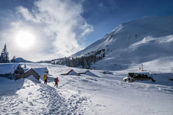 Hiking Kış Turistler Karla Kaplı Dağlara Hiking Dağlarda Güzel Kış — Stok fotoğraf