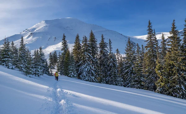 Escursioni Invernali Turisti Stanno Facendo Escursioni Sulle Montagne Innevate Bellissimo — Foto Stock