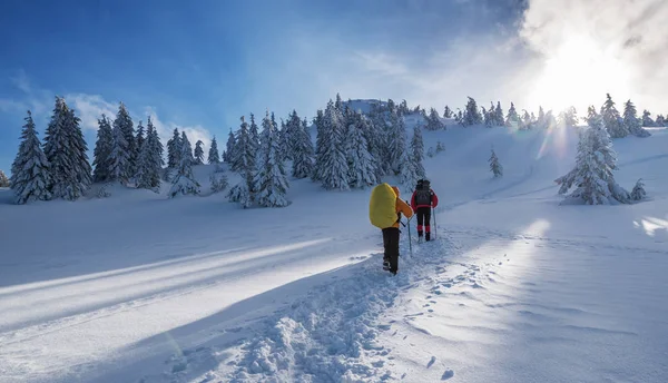 冬のハイキング 観光客は 雪に覆われた山々 でハイキングします 山の美しい冬の風景 — ストック写真