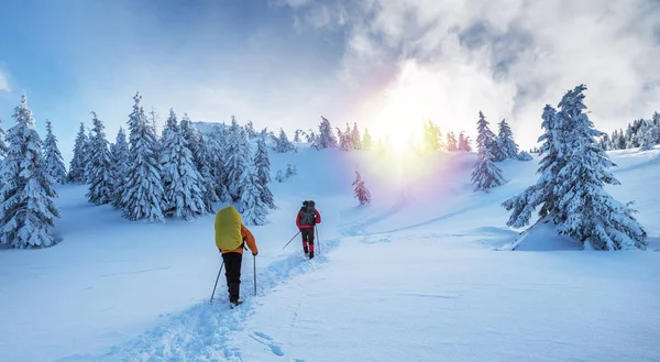 Winter hiking. Tourists are hiking in the snow-covered mountains. Beautiful winter landscape in the mountains.