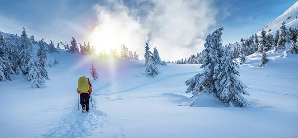 Winter hiking. Tourists are hiking in the snow-covered mountains. Beautiful winter landscape in the mountains.