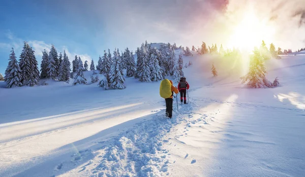 Senderismo Invierno Los Turistas Están Caminando Las Montañas Cubiertas Nieve — Foto de Stock