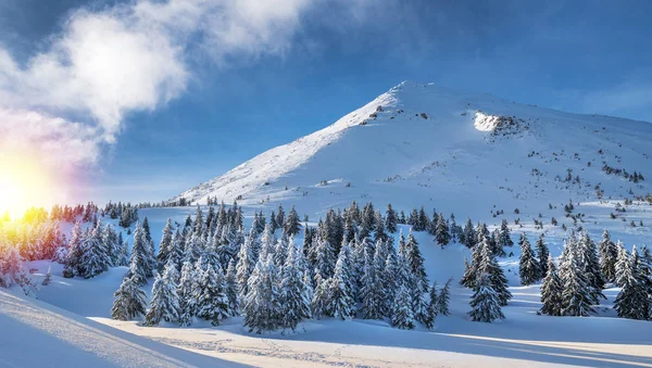 Πανέμορφο Τοπίο Χειμώνα Από Καρπάθια Όρη Πέτρος Αιχμής Που Καλύπτονται — Φωτογραφία Αρχείου