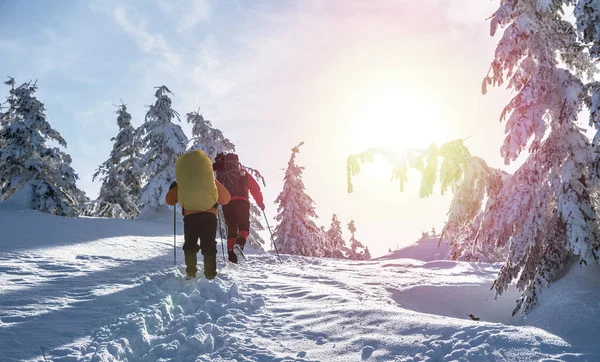 冬季远足 游客们在雪地覆盖的群山中远足 山中美丽的冬季景观 — 图库照片