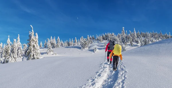 Winter hiking. Tourists are hiking in the snow-covered mountains. Beautiful winter landscape in the mountains.