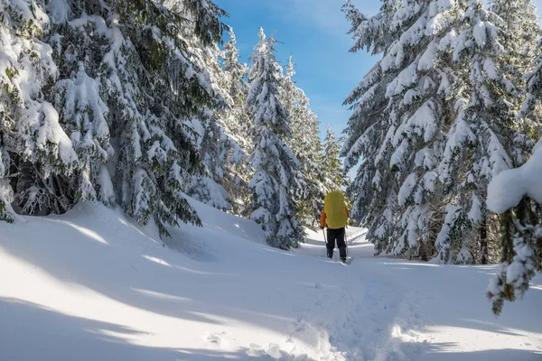 Vinter Vandring Turister Vandring Snötäckta Bergen Vackra Vinterlandskap Bergen — Stockfoto