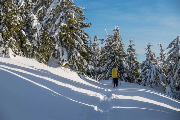 Hiking kış. Turistler karla kaplı dağlara hiking. Dağlarda güzel kış peyzaj.