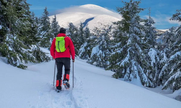 Winter hiking. Tourist is hiking in the snow-covered mountains.  Beautiful winter landscape in the mountains.