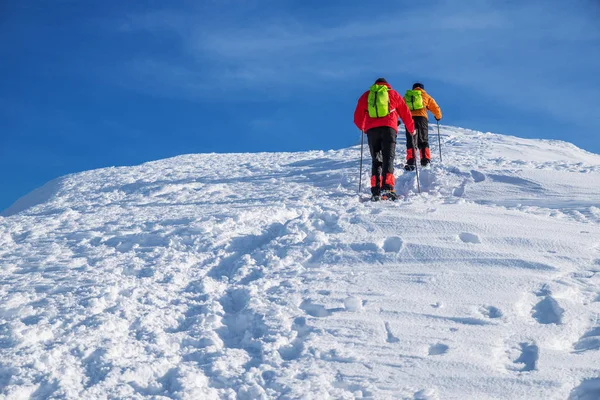 雪に覆われた山の頂上に向かう途中の観光客 冬のハイキング — ストック写真