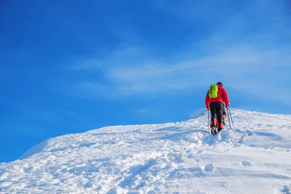 雪に覆われた山の頂上に向かう途中の観光客 冬のハイキング — ストック写真