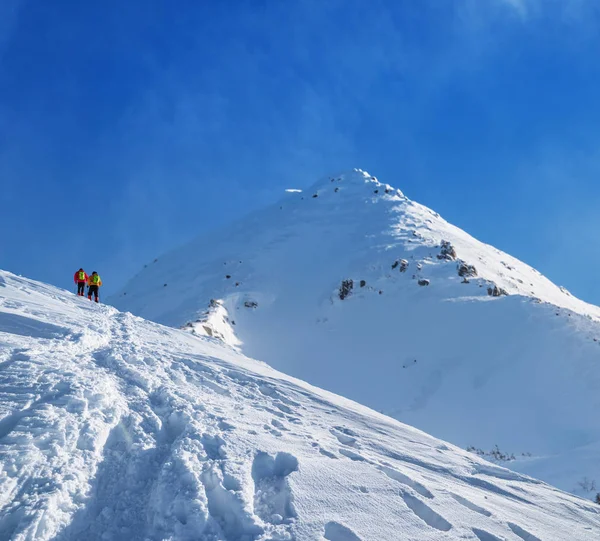 雪に覆われた山の頂上に向かう途中の観光客 冬のハイキング — ストック写真