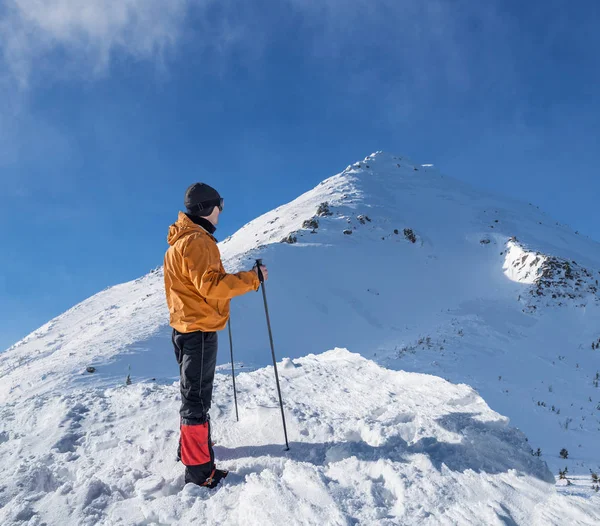 冬のハイキング 観光の山の頂上に彼の方法の残りの部分を取得 — ストック写真