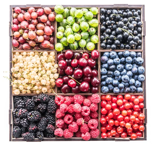 Colorful Berries Wooden Box White Background Top View — Stock Photo, Image